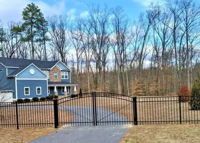 In our gardens  plants for the shade garden