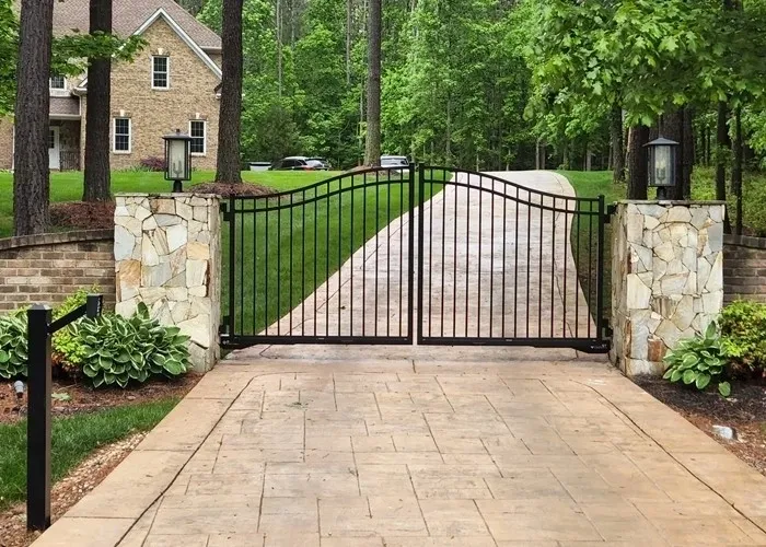In our gardens  plants for the shade garden
