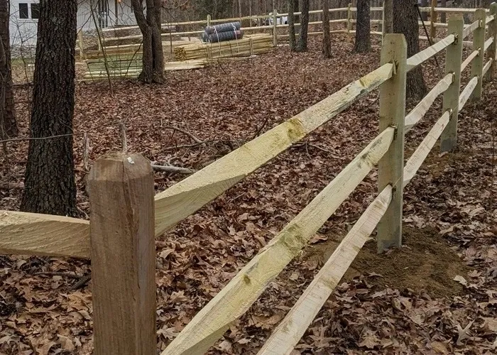 In our gardens  plants for the shade garden