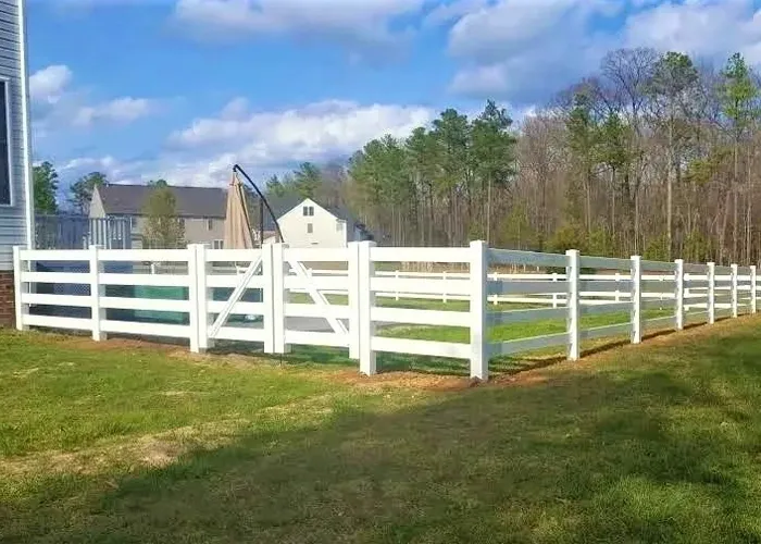 In our gardens  plants for the shade garden