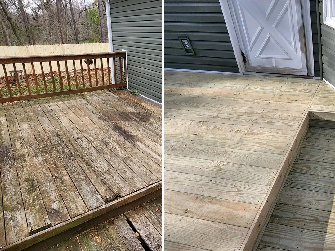 In our gardens  plants for the shade garden